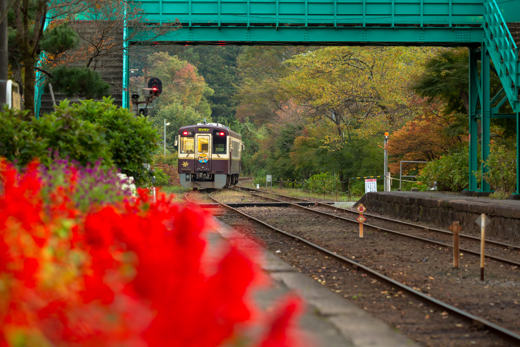 色づき始めの駅…