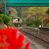 色づき始めの駅…