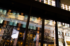 window/ツリー…