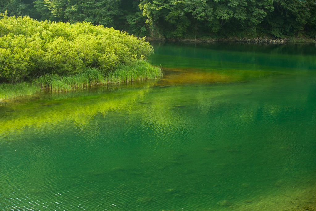 Green&Green…