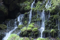 元滝伏流水