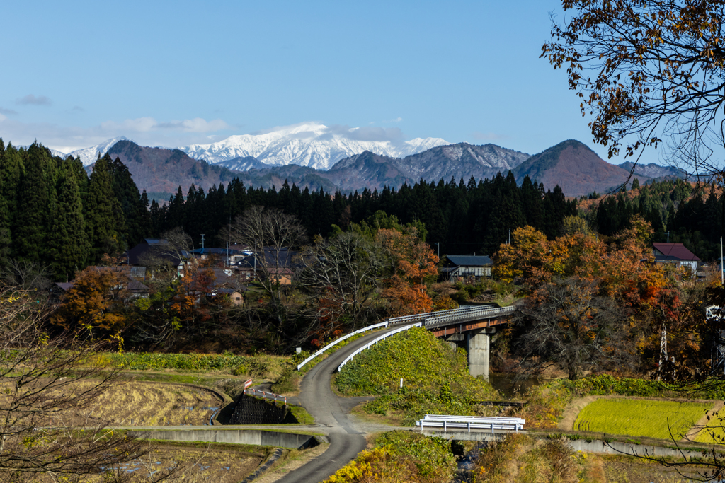 晩秋風景