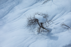 雪に埋もれそう