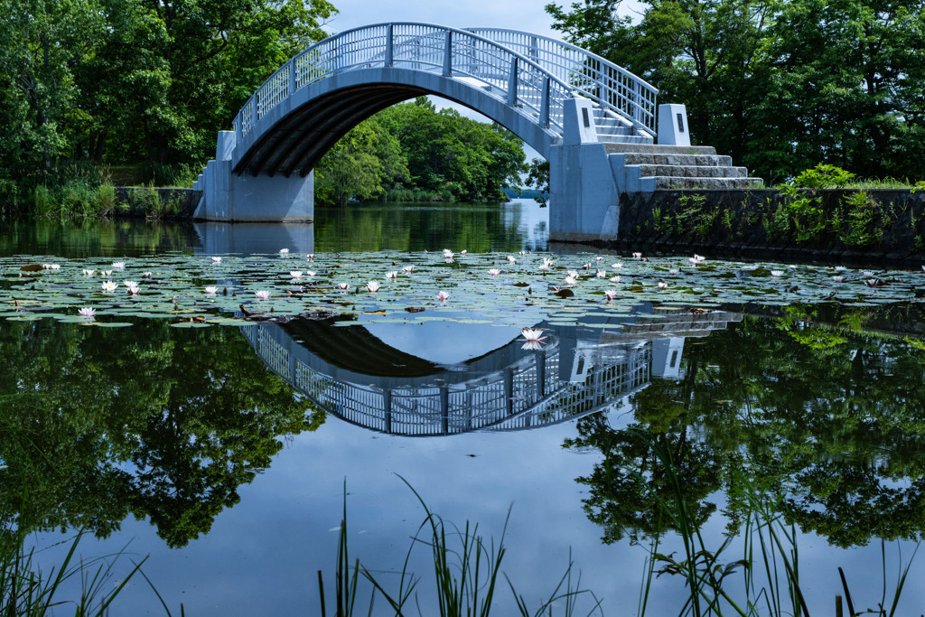 大沼公園散策