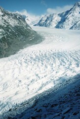 アレッチ氷河