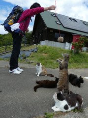 取りたいな～！