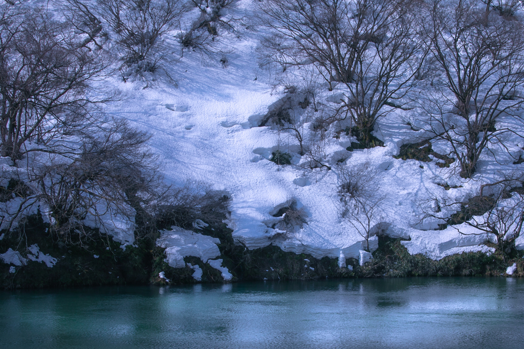 阿賀野川の対岸