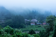 夏の濃霧