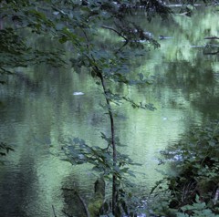 湧き水のある池