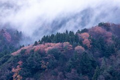 霧が湧く時間帯