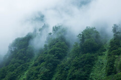 霧