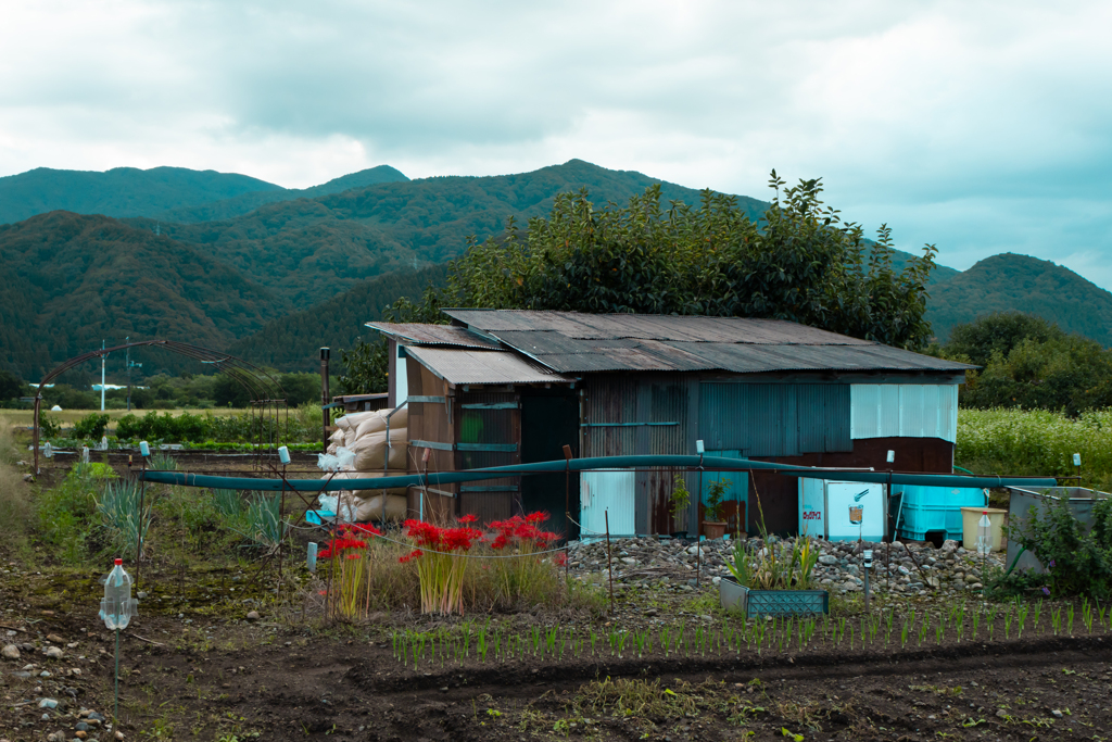 畑の作業小屋