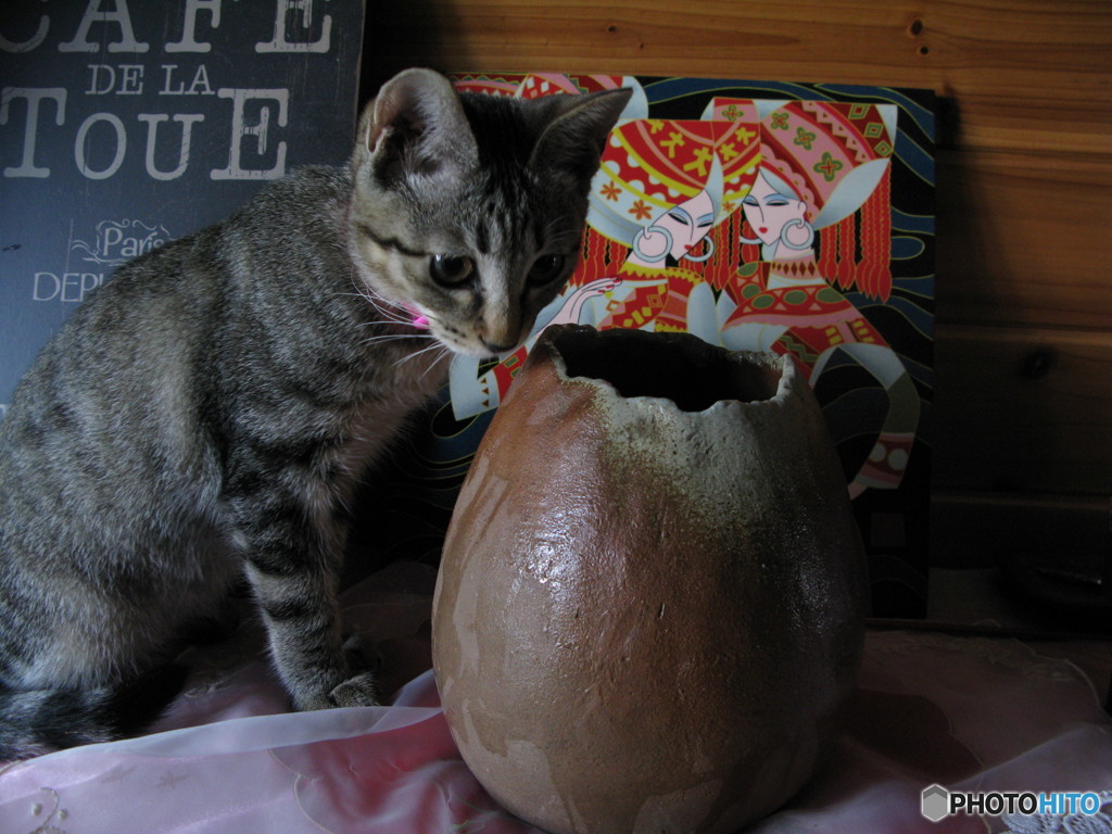 考え中・・・・・　　やるぞ・・・・・・