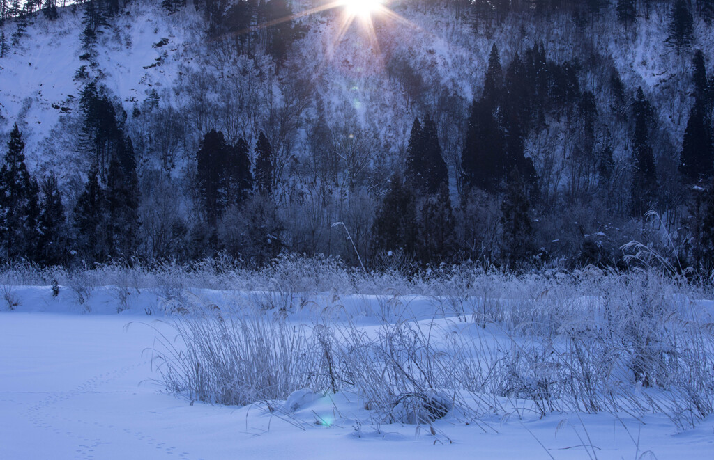 雪原の朝