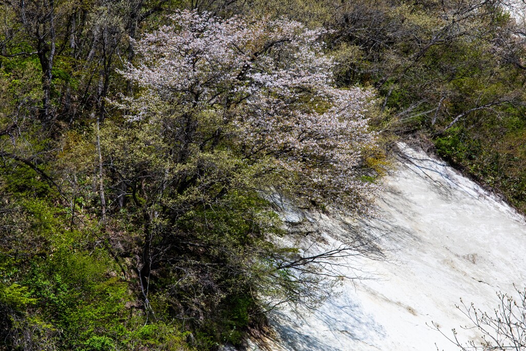 岩に影