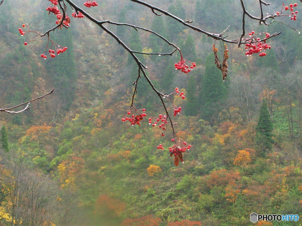 雨でレンズにも滴が