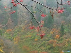 雨でレンズにも滴が