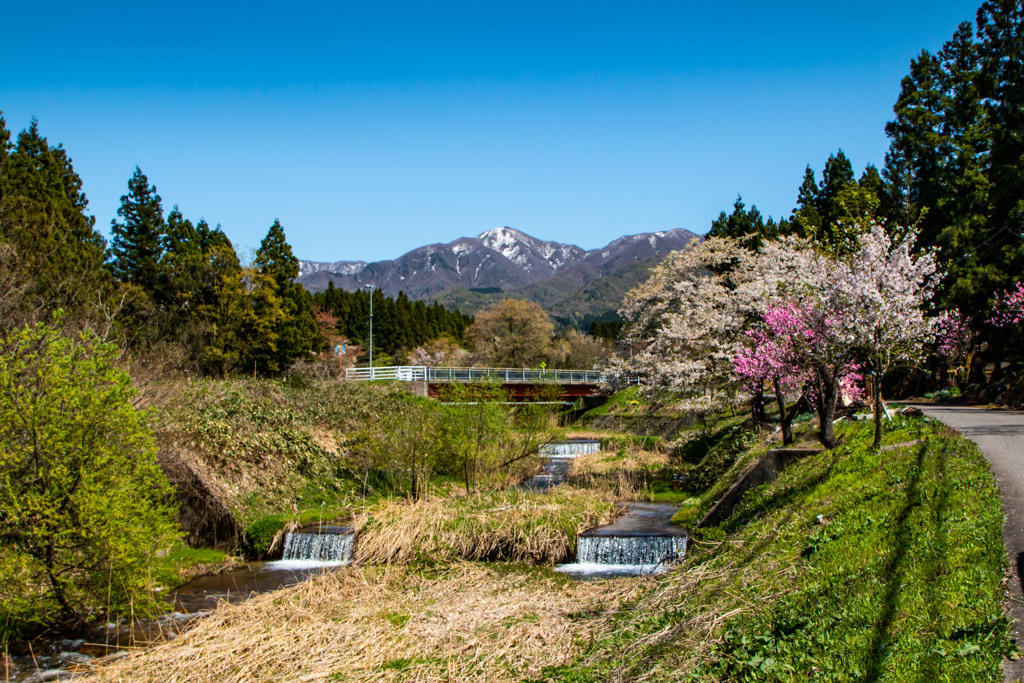 五頭山の春