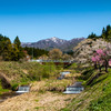 五頭山の春