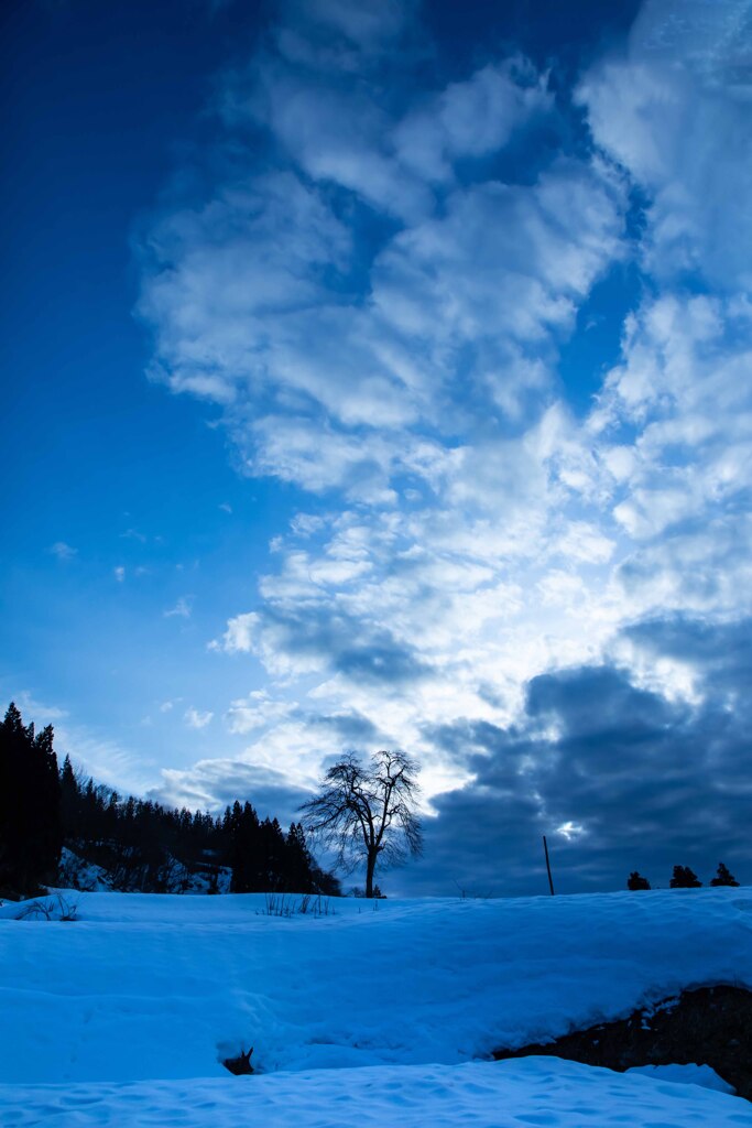 夕暮れの雪原