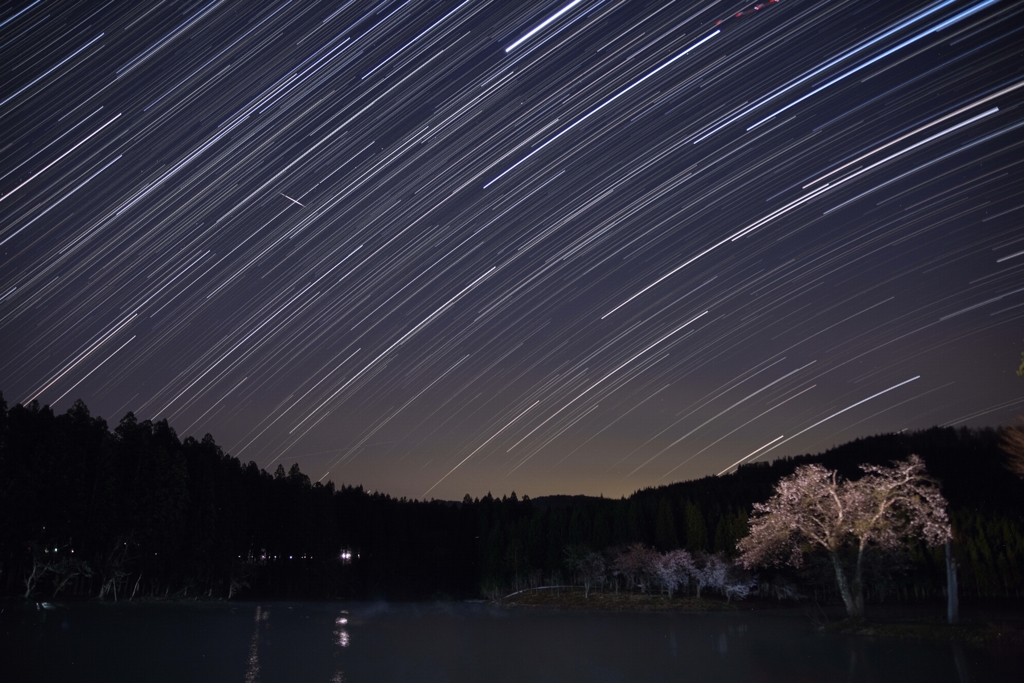 中子の桜星景