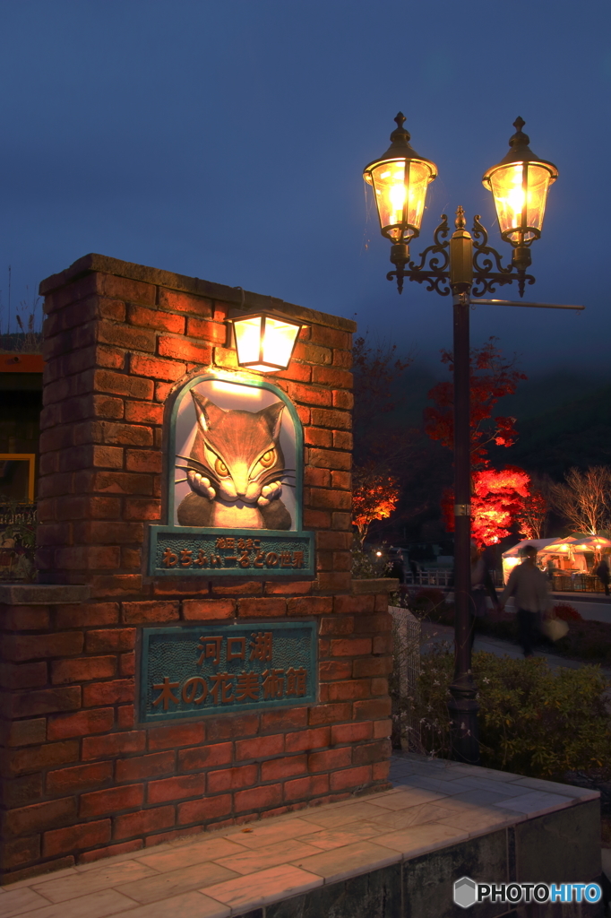 夜の散歩　河口湖にて