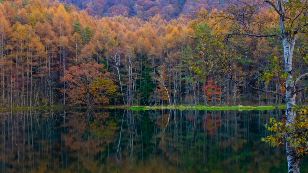 思い出の　御射鹿池