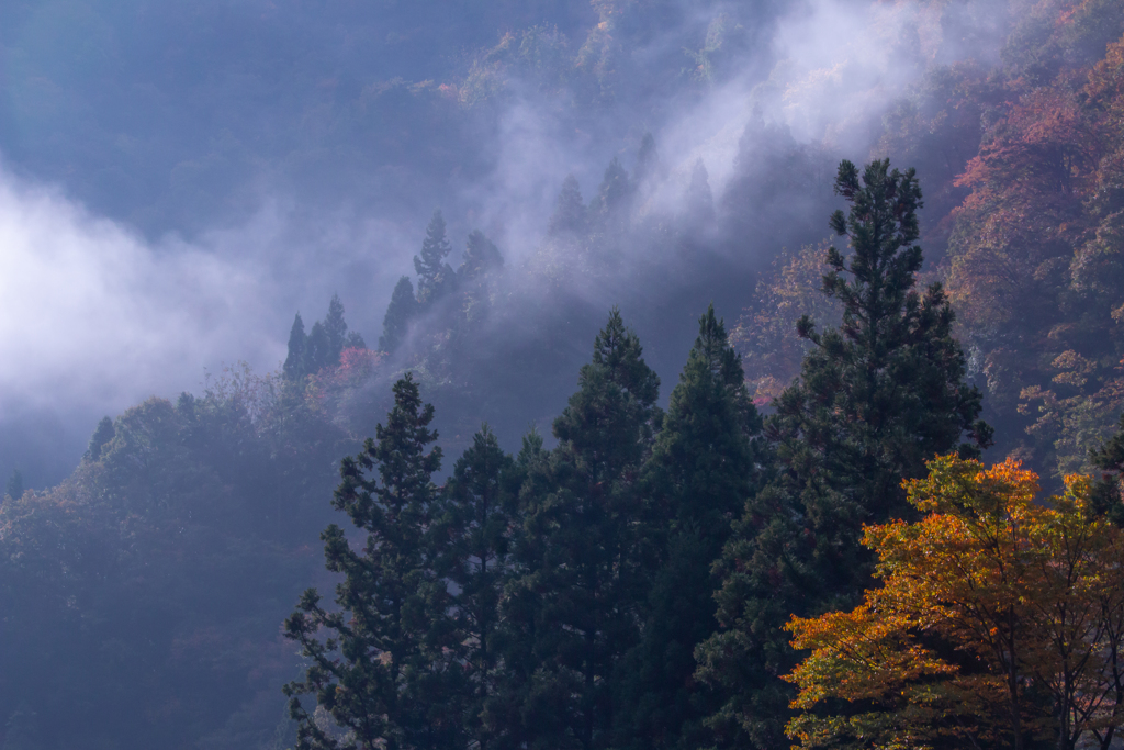 山の斜面に霧が