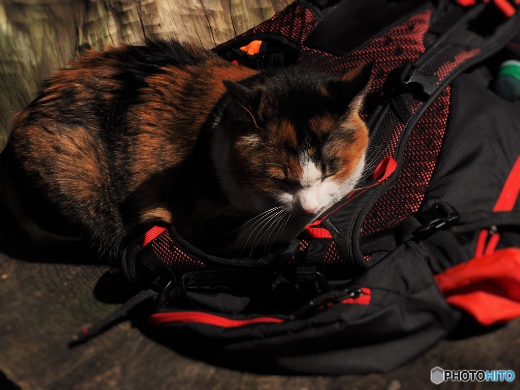 私のザック寝心地良いですか？