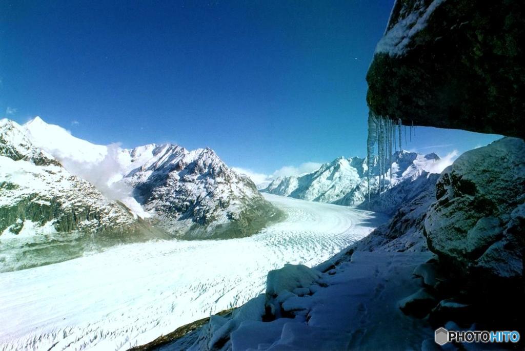 アレッチ氷河