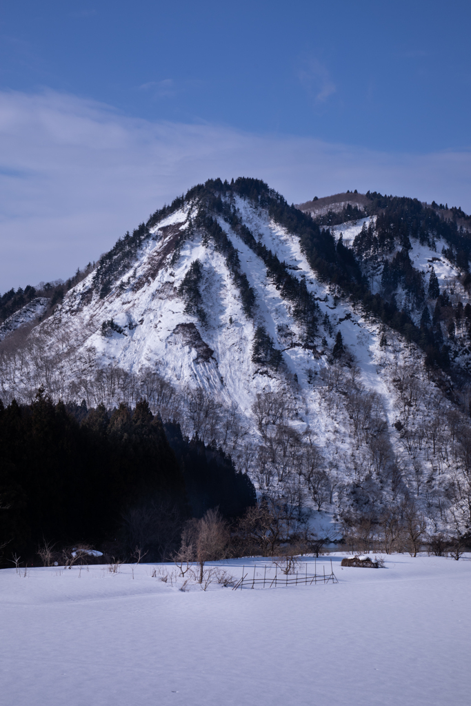 雪男の頭みたいな山