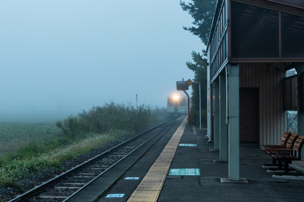 朝霧の中　電車が来た