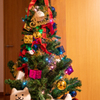 クリスマスツリー