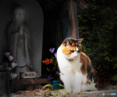 お地蔵さんと　一緒にどうですか？