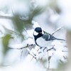 雪の中　元気です。