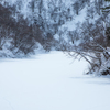 ダムの奥はまだ　雪に覆われていました。