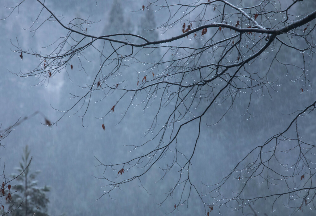 雪交じりの雨