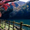 秋の散策