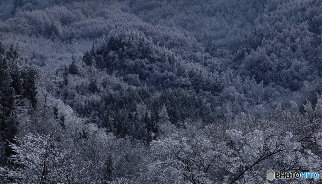 道中の雨氷きれいでした。