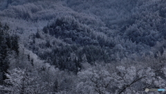 道中の雨氷きれいでした。