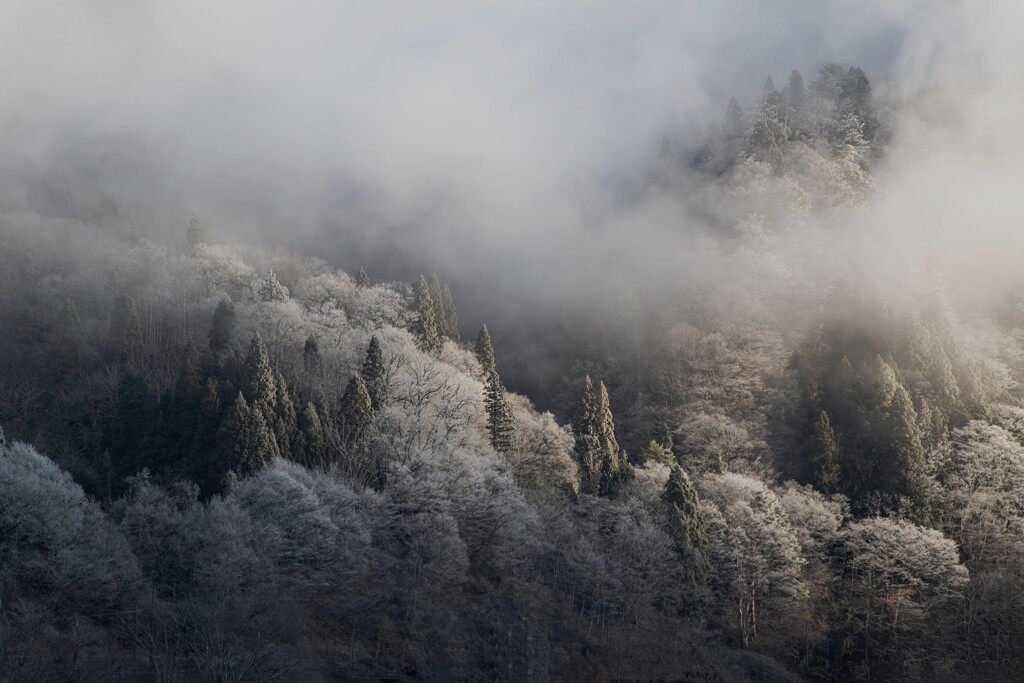 うごめく霧　２