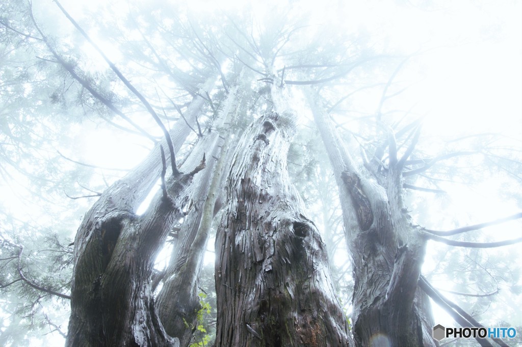 幻想の空へ