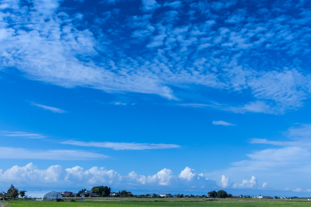 秋の空