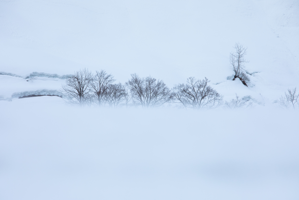 雪の寸景