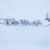 雪の寸景