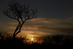 山頂で迎えた朝