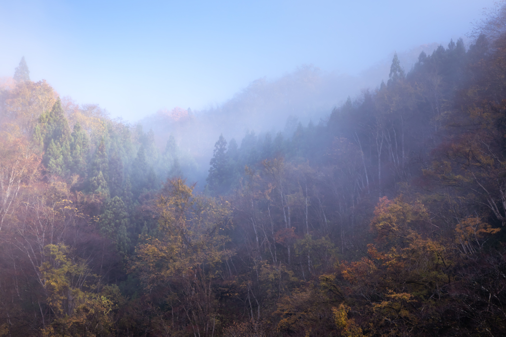 山の朝