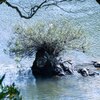 岩のオブジェ