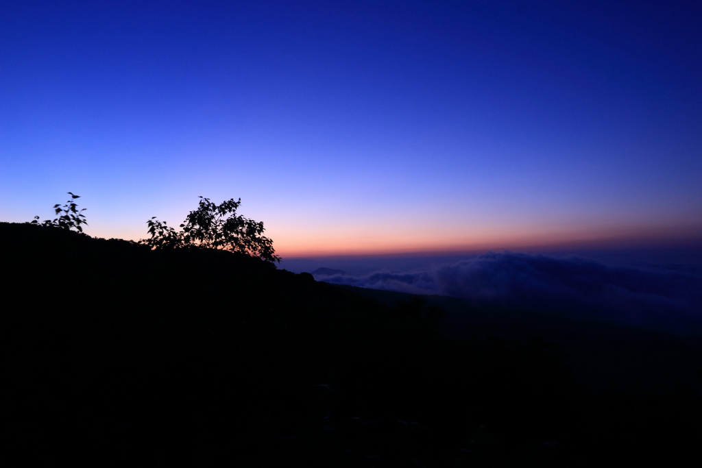 この時間帯に　居られるのは　貴重