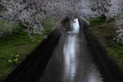 雨と風の日　
